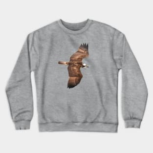 Osprey Crewneck Sweatshirt